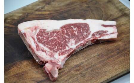 Y828 ����a��2������ �����Ƃ���� 12���������