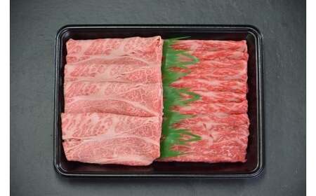 Y860 y8ցza[XƐԐgĂԂԗp600g