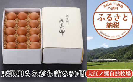 [平飼い]天美卵もみがら詰め30個[高級卵][大江ノ郷自然牧場より直送]