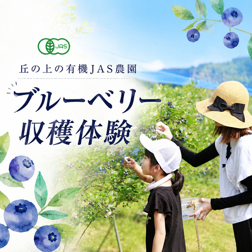 丘の上の有機JASブルーベリー農園で1日1組限定(5名様まで)の収穫体験