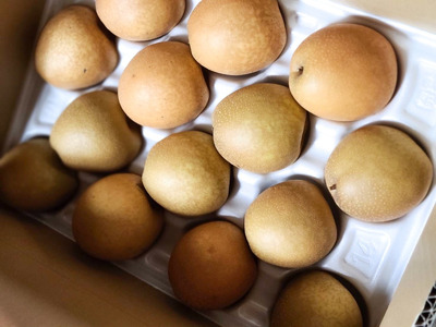 訳あり 小玉 [ご家庭用] 王秋梨5kg