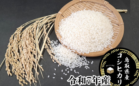 Y1070 ���挧�Y�u�R�V�q�J���v������5kg�i�ߘa7�N�Y�j