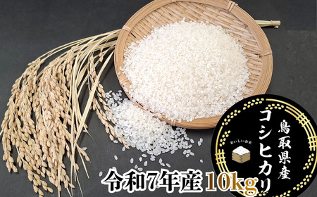 Y1072 ���挧�Y�u�R�V�q�J���v������10kg�i�ߘa7�N�Y�j