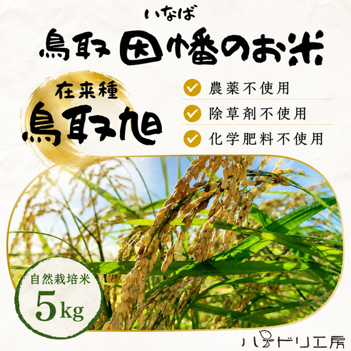 鳥取旭5kg(精米)