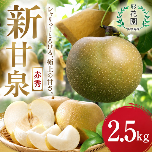 Y482 新甘泉(赤秀) 2.5kg【彩花園】