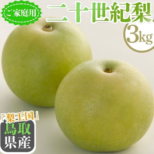Y1013 二十世紀梨(家庭用) 3kg