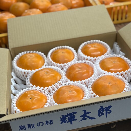 輝太郎(赤秀)3kg