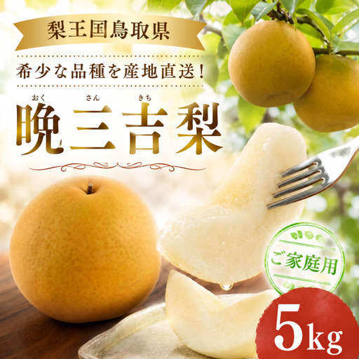 晩三吉(家庭用)5kg[冬に食べられる希少な大玉梨]