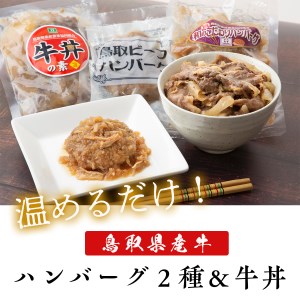 鳥取県産ハンバーグ2種&牛丼セット