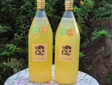 鳥取県産梨のブレンドジュース2本セット