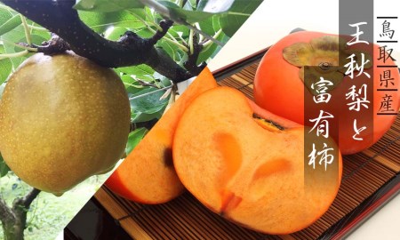 王秋梨と富有柿のセット 3kg