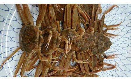 [先行予約]ボイル 親ガニ カニ酢付き ( 5 〜 6枚 )