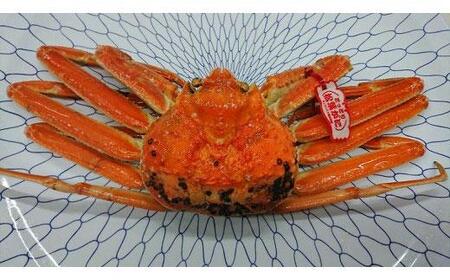 [先行予約]カニ 松葉ガニ ボイル カニ酢付き ( 1枚 )