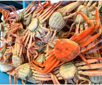 ys\zyqz{CCZRKj1kgZbg