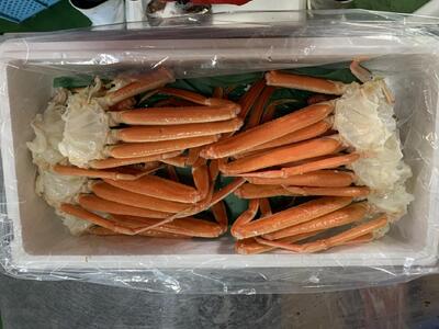 ys\zyqz{CᏼtKj SW(P`Q{Ȃ܂)