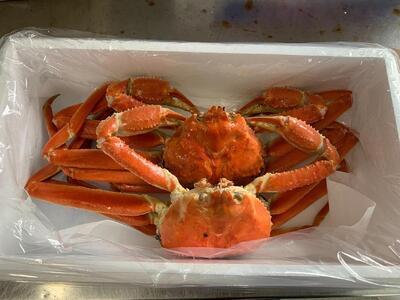 [先行予約][魚倉]訳ありボイル松葉ガニ2枚セット