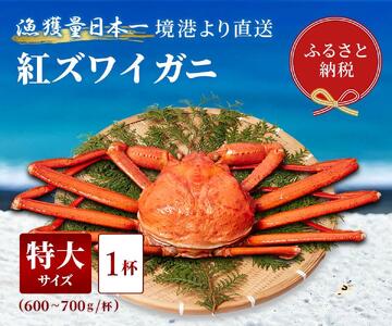 y 10`11zyIZuzYCKjigYCKjj1ti600`700g×1j