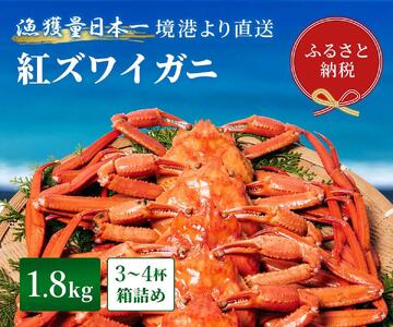 【 先行予約 2026年1月中旬以降発送 】【蟹セレブ】ズワイガニ（紅ズワイガニ）】1.8kg箱詰め（3～4杯）