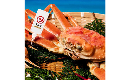 [1月〜5月発送][蟹セレブ]ズワイガニ(紅ズワイガニ)特大2杯(600〜700g×2)