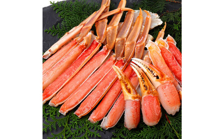 �y 12���ȍ~���� �z�y�I�Z���u�z�J�b�g���g���킢�I2kg