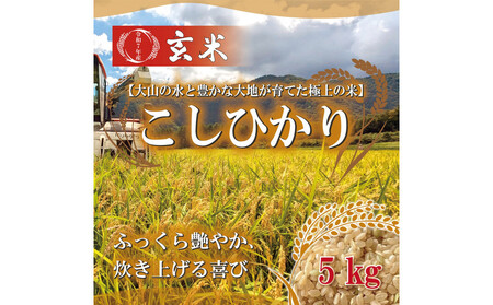 �ߘa7�N ���挧�Y �R��_�������Ђ��茺��5kg