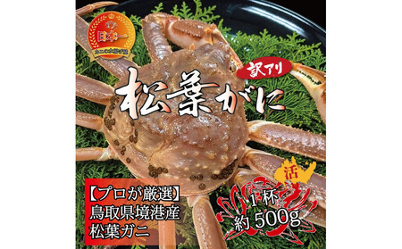 境港産 松葉ガニ500g（活冷）訳あり