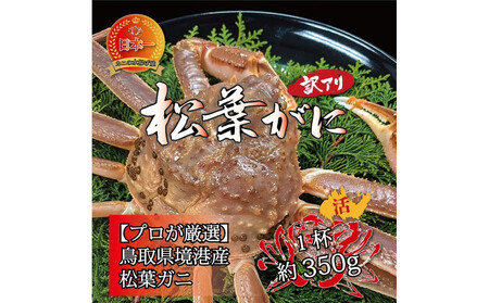 ���`�Y ���t�K�j350g�i����j�󂠂�