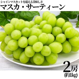 313K. 小林農園 マスカ・サーティーン2房(約1kg)