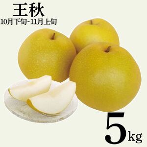 [2026年先行受付]梨 王秋 おうしゅう 5kg 鳥取県産 | 12MS