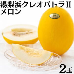 [2026年先行受付]メロン 2玉 クレオパトラ2 湯梨浜 | 20MS