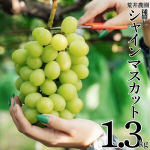 シャインマスカット 1.3kg 2房 - 3房 荒井農園 種なし | 34M