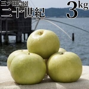 梨 二十世紀 3kg 三ツ田農園 鳥取県産 | 207M