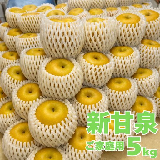 362M.新甘泉5kg〔ご家庭用〕 東商果樹園