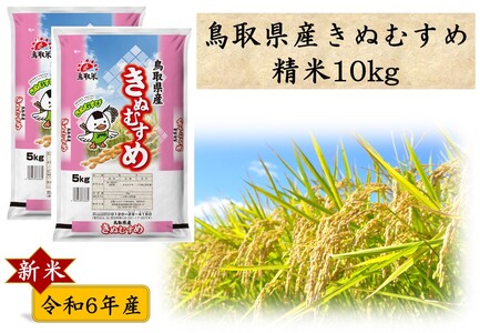 276J.鳥取県産きぬむすめ◇精米10kg◇令和6年産