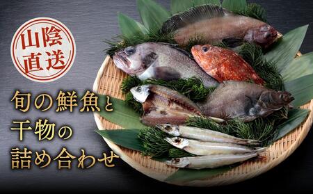 山陰直送 旬の鮮魚と干物の詰め合わせ ※北海道、沖縄、一部離島への配送不可