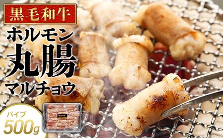 牛肉 黒毛和牛 ホルモン 丸腸(マルチョウ) 500g ホルモン ホルモン ホルモン ホルモン ホルモン