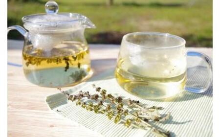 R͔| n[ueB[ z[[oW 40{i񔼌j