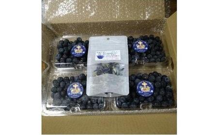 琴浦町産生ブルーベリー1kg(250g×4パック)ハーブティー付
