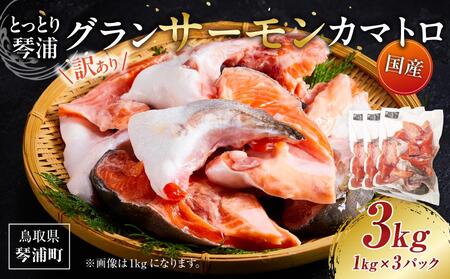 [数量限定]訳あり 国産 とっとり 琴浦 グラン サーモン カマトロ 3kg(1kg×3パック)国産サーモン 魚介類 陸上養殖 人気 サケ 