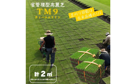 芝生(省管理型コウライ芝　TM9ティーエムナイン)２束セット※2平米分