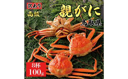 y2025N11z挧Y  e pyZRKjzi䥁jy󂠂z100g 8t