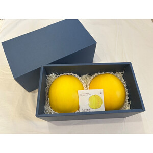 鳥取県琴浦町産 エリザベスメロン 秀品 2玉入り(約2kg)|メロン