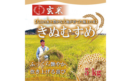 令和7年産　大上農園きぬむすめ 玄米5kg