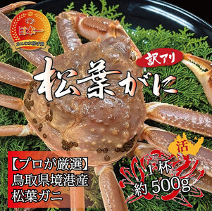 ���`�Y ���t�K�j500g�i����j�󂠂�