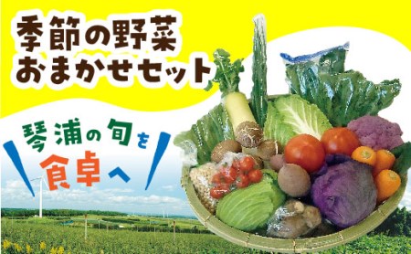 野菜ニュースの返礼品 検索結果 | ふるさと納税サイト「ふるなび」