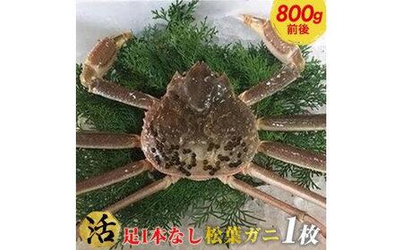 693.[早期受付][活]足1本なし 訳あり 松葉ガニ 大1枚(800g前後)[かに カニ 蟹 ズワイガニ ]※着日指定不可※2025年11月上旬頃から順次発送予定