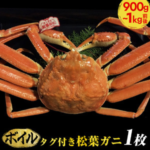 [早期受付][ボイル]タグ付き松葉ガニ 特大1枚(900g〜1kg前後)[かに カニ 蟹]※着日指定不可※2024年11月上旬頃から順次発送予定