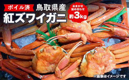 鳥取県産ボイル紅ズワイガニおまかせ詰め合わせ(約3kg) ※着日指定不可 ※離島への配送不可 ※2025年2月上旬〜4月下旬頃に順次発送予定