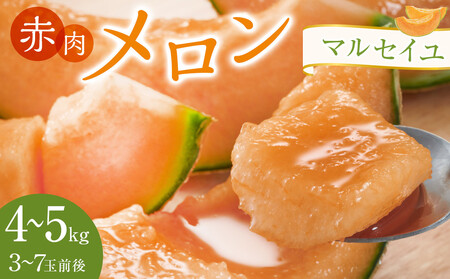 782.赤肉メロン「マルセイユ」※着日指定不可 ※5月20日〜6月30日頃に順次発送予定