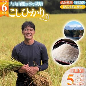 [3回定期便]令和6年産こしひかり(精米) 5kg×3回 離島不可(北海道、沖縄本島は配送可能) ※お申し込みから14日以内に発送